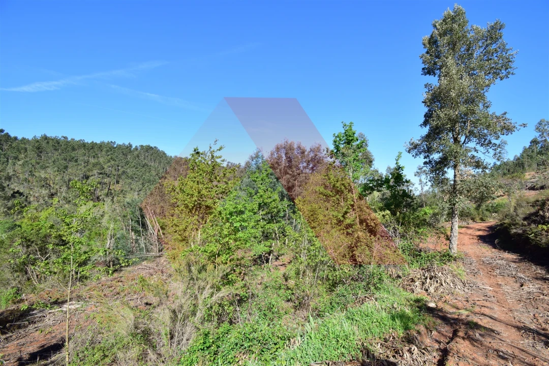 Terreno Agricola ou Rústico para Venda em Mouronho Foto 3