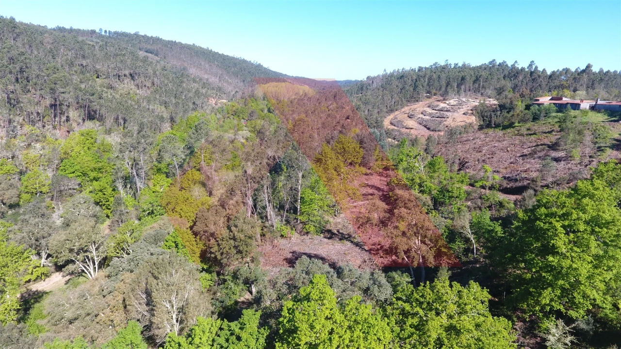 Terreno Agricola ou Rústico para Venda em Mouronho Foto 5