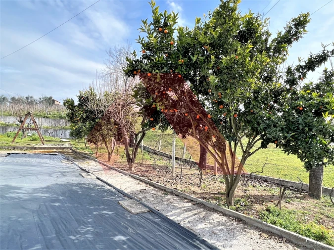 Quinta T0 para Venda em Espariz e Sinde Foto 9
