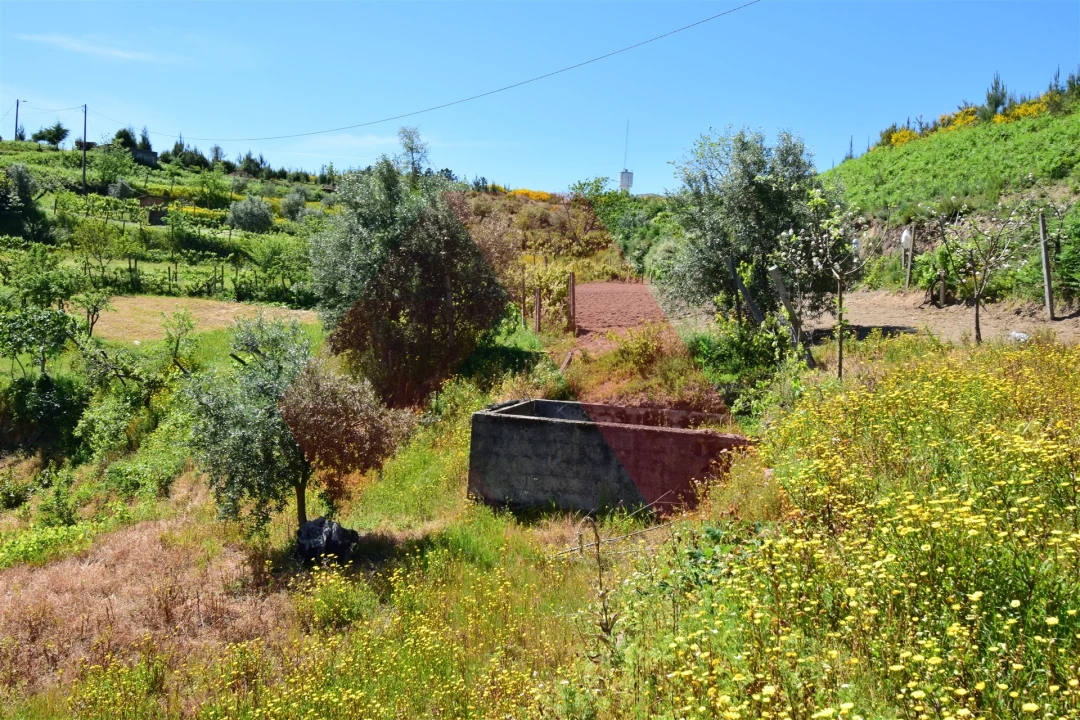 Terreno para Venda em Oliveira do Hospital e São Paio de Gramaços Foto 7