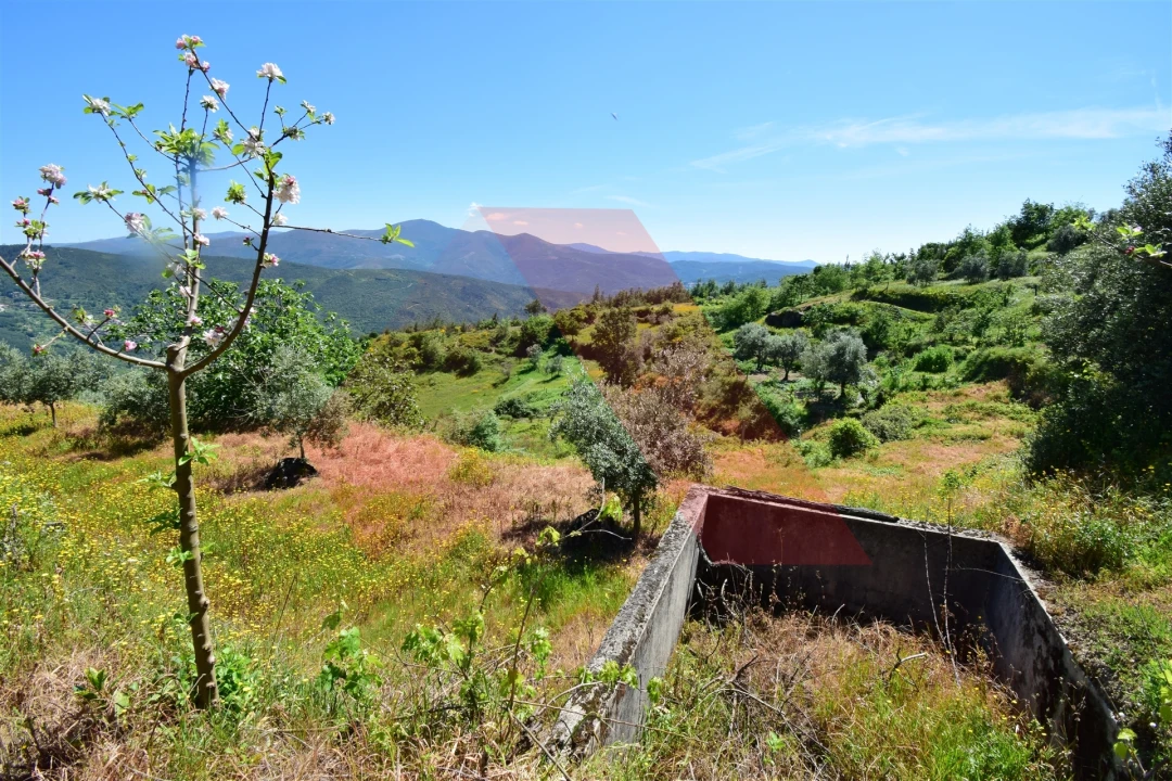 Terreno para Venda em Oliveira do Hospital e São Paio de Gramaços Foto 8