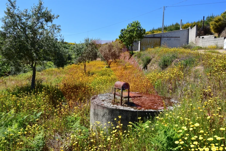 Terreno para Venda em Oliveira do Hospital e São Paio de Gramaços Foto 3