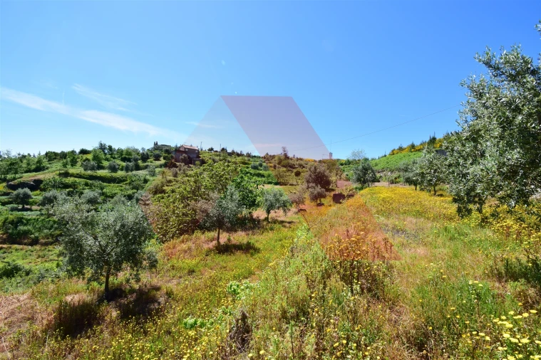 Terreno para Venda em Oliveira do Hospital e São Paio de Gramaços Foto 6