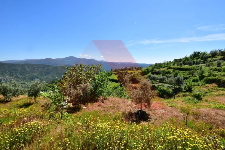 Terreno para Venda em Oliveira do Hospital e São Paio de Gramaços Foto 5