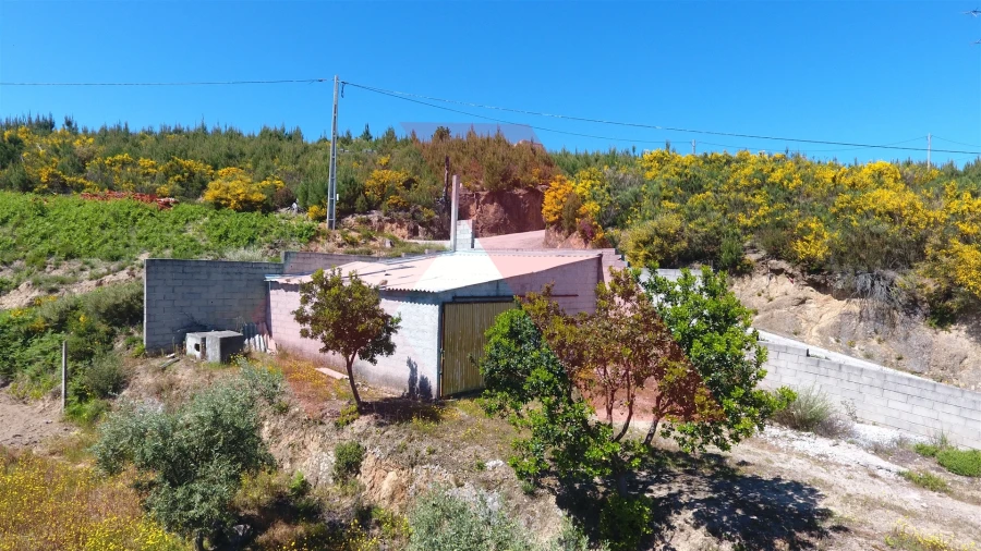 Terreno para Venda em Oliveira do Hospital e São Paio de Gramaços Foto 1