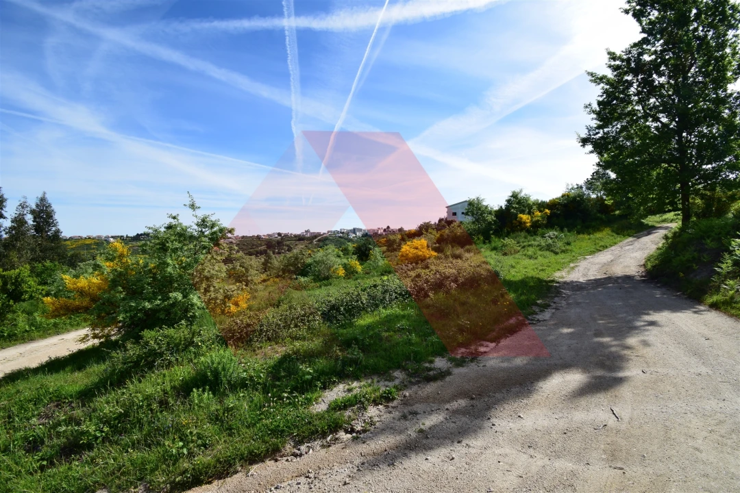 Terreno Agricola ou Rústico para Venda em Bobadela Foto 2