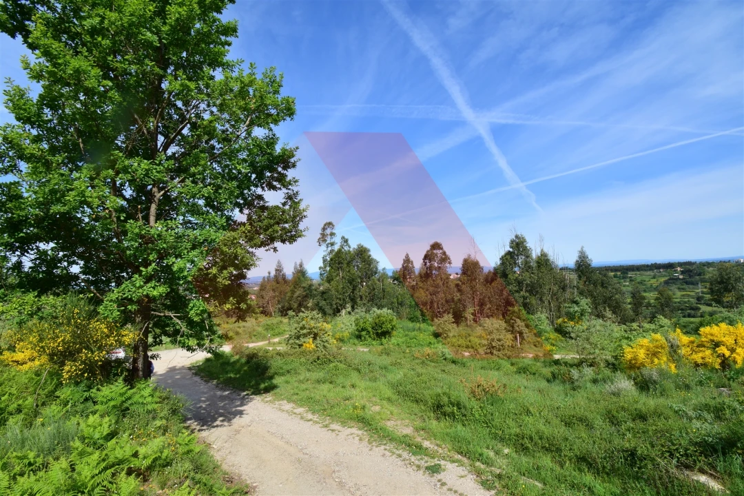 Terreno Agricola ou Rústico para Venda em Bobadela Foto 4