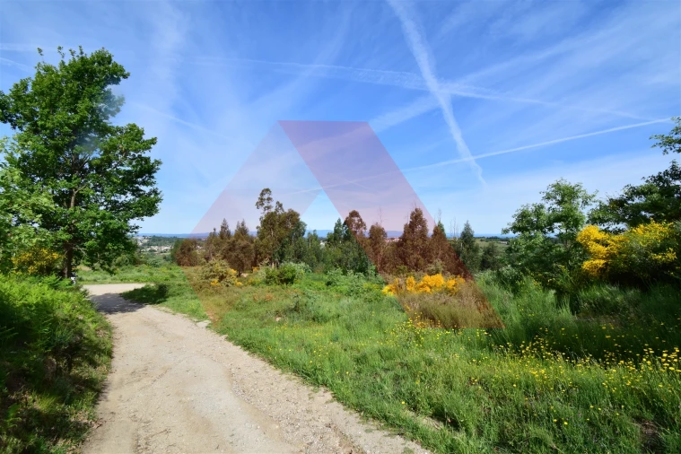 Terreno Agricola ou Rústico para Venda em Bobadela Foto 5