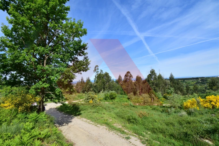 Terreno Agricola ou Rústico para Venda em Bobadela Foto 4