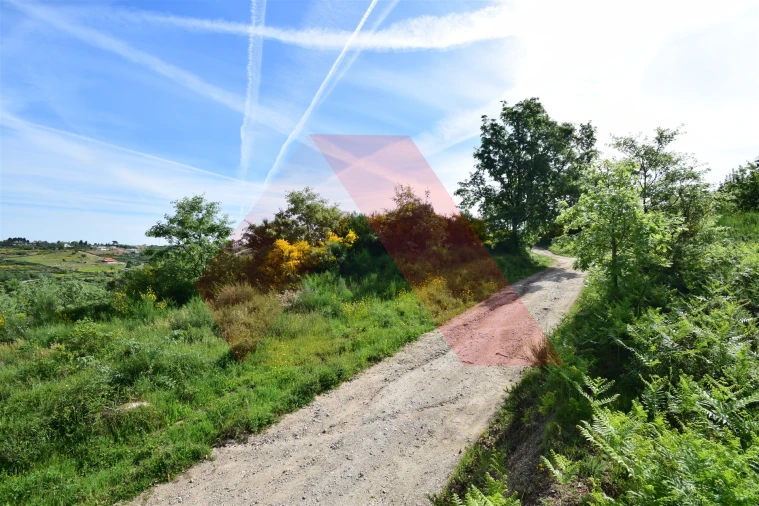 Terreno Agricola ou Rústico para Venda em Bobadela Foto 3