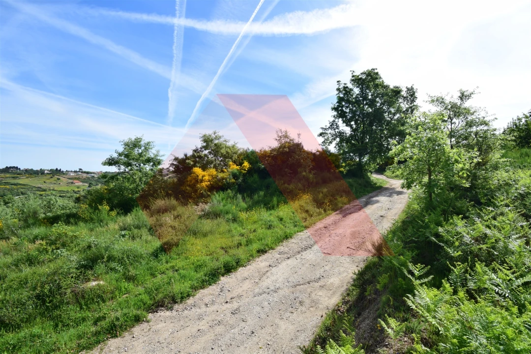 Terreno Agricola ou Rústico para Venda em Bobadela Foto 3