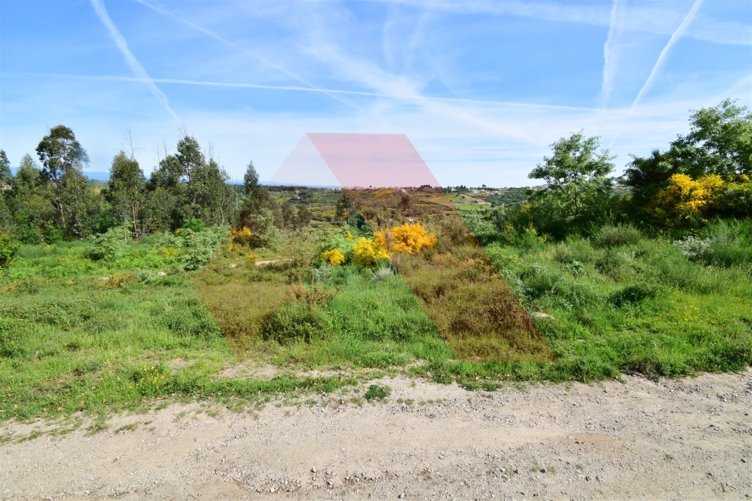 Terreno Agricola ou Rústico para Venda em Bobadela Foto 1