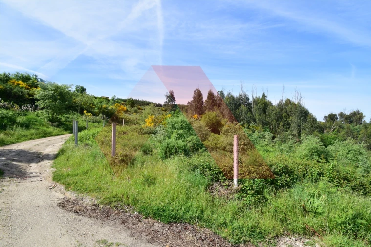 Terreno para Venda em Bobadela Foto 6