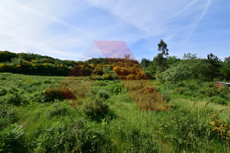 Terreno para Venda em Bobadela Foto 3