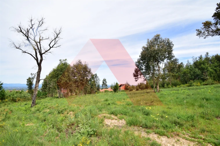 Terreno para Venda em Lagos da Beira e Lajeosa Foto 1