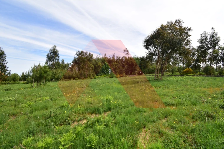 Terreno para Venda em Lagos da Beira e Lajeosa Foto 4
