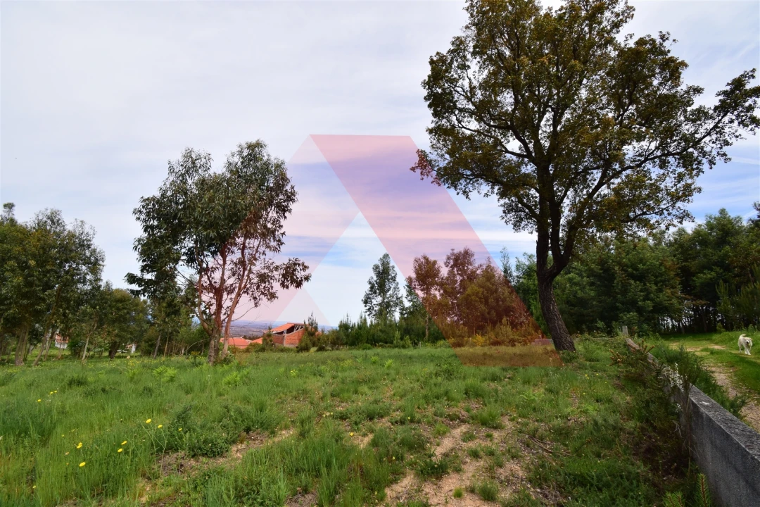 Terreno para Venda em Lagos da Beira e Lajeosa Foto 3