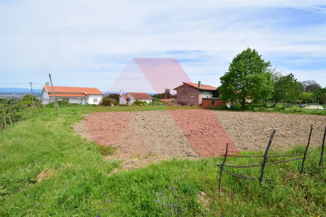 Terreno para Venda em Lagos da Beira e Lajeosa Foto 1