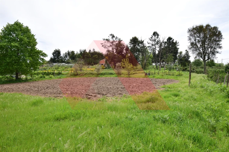 Terreno para Venda em Lagos da Beira e Lajeosa Foto 3