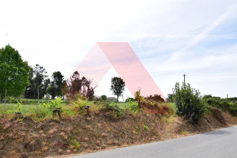 Terreno para Venda em Lagos da Beira e Lajeosa Foto 2