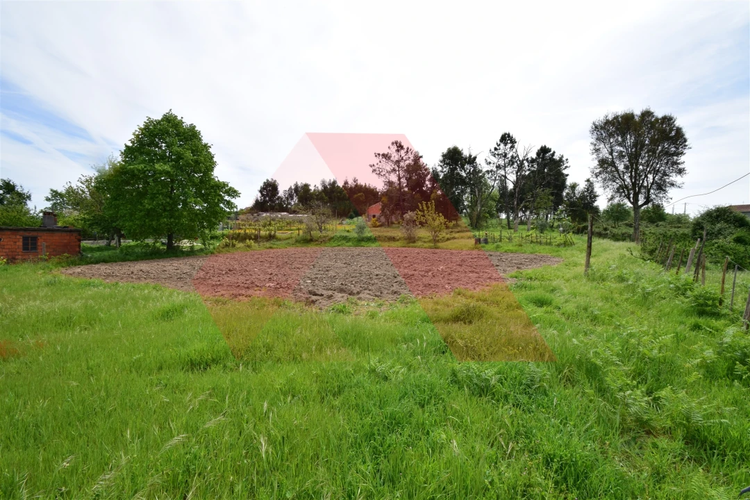 Terreno para Venda em Lagos da Beira e Lajeosa Foto 6
