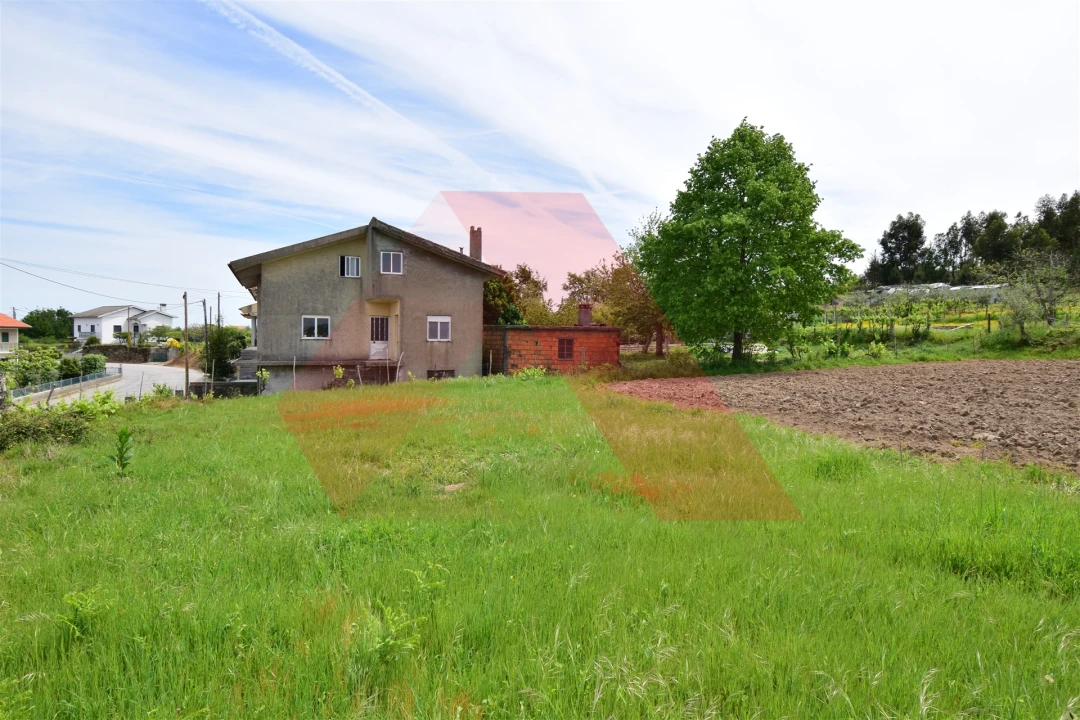 Terreno para Venda em Lagos da Beira e Lajeosa Foto 4