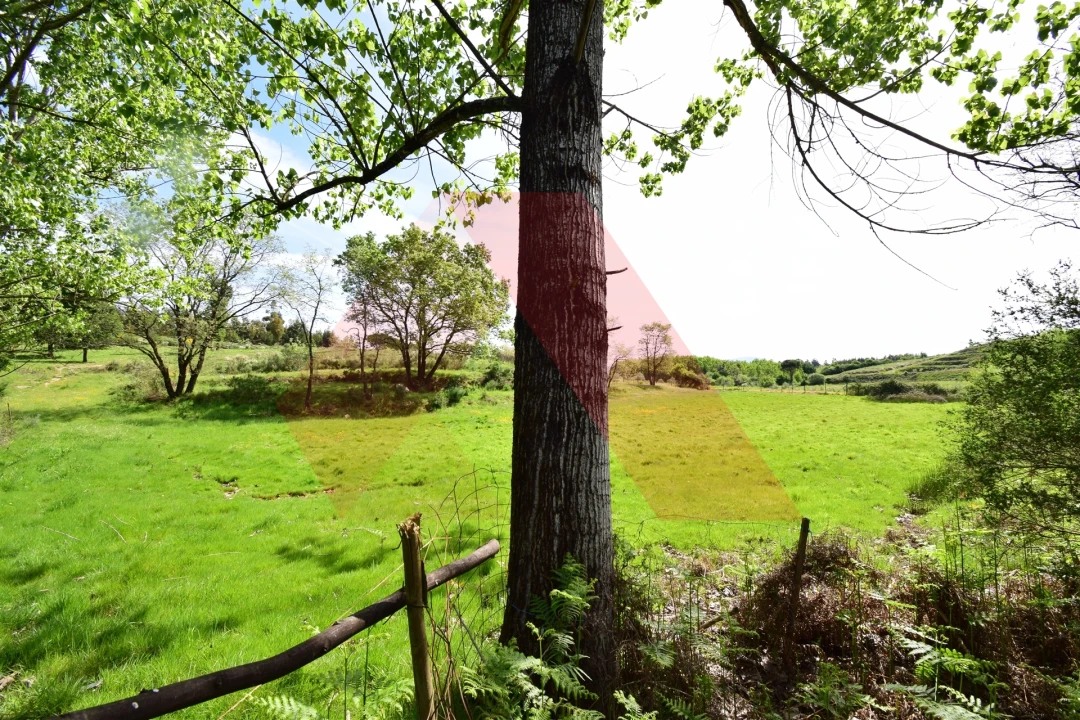 Quinta T0 para Venda em Lagos da Beira e Lajeosa Foto 6