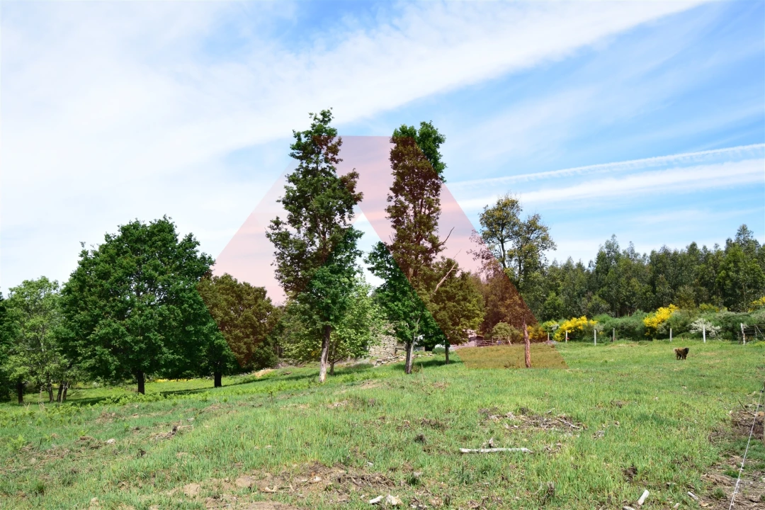 Quinta T0 para Venda em Lagos da Beira e Lajeosa Foto 10