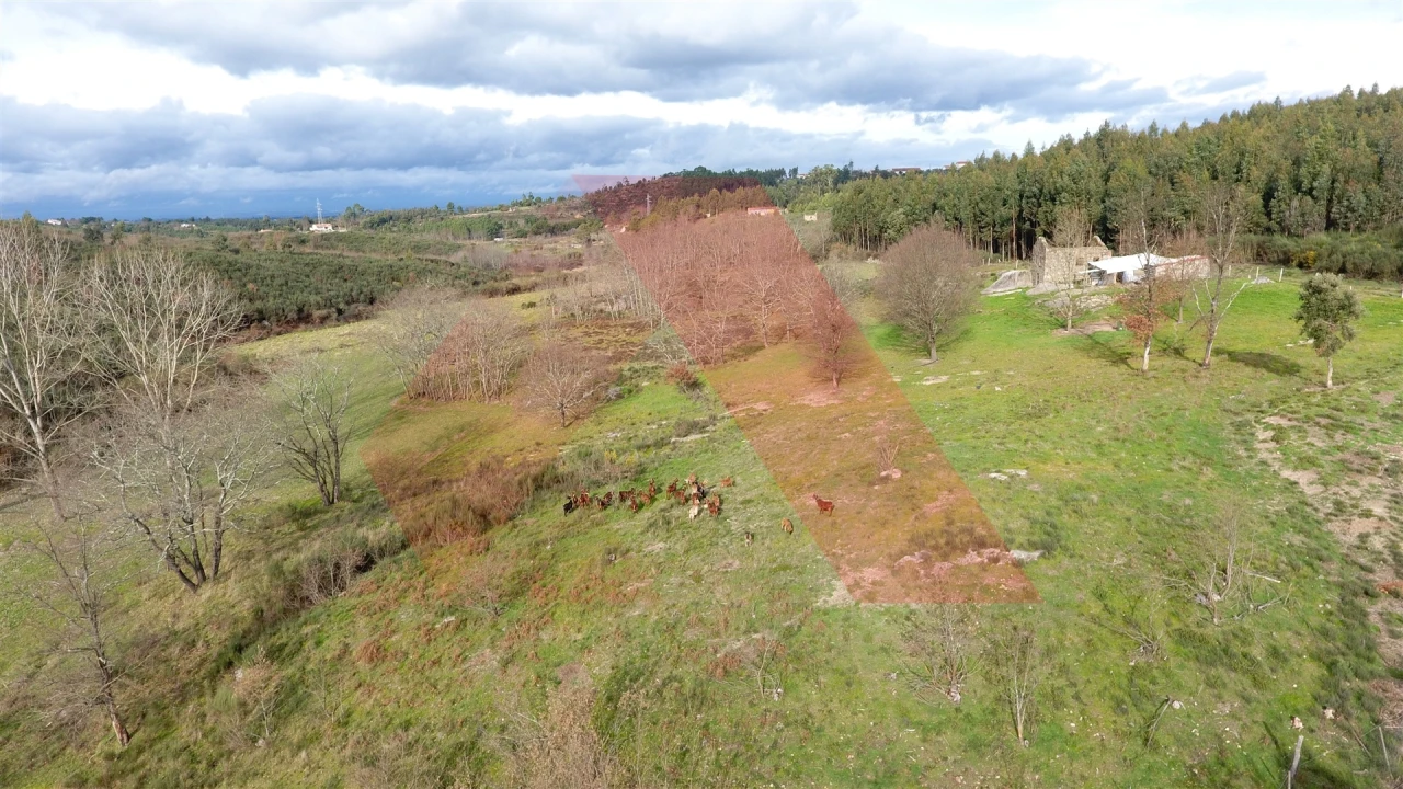Quinta T0 para Venda em Lagos da Beira e Lajeosa Foto 16