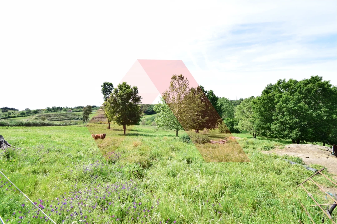 Quinta T0 para Venda em Lagos da Beira e Lajeosa Foto 8