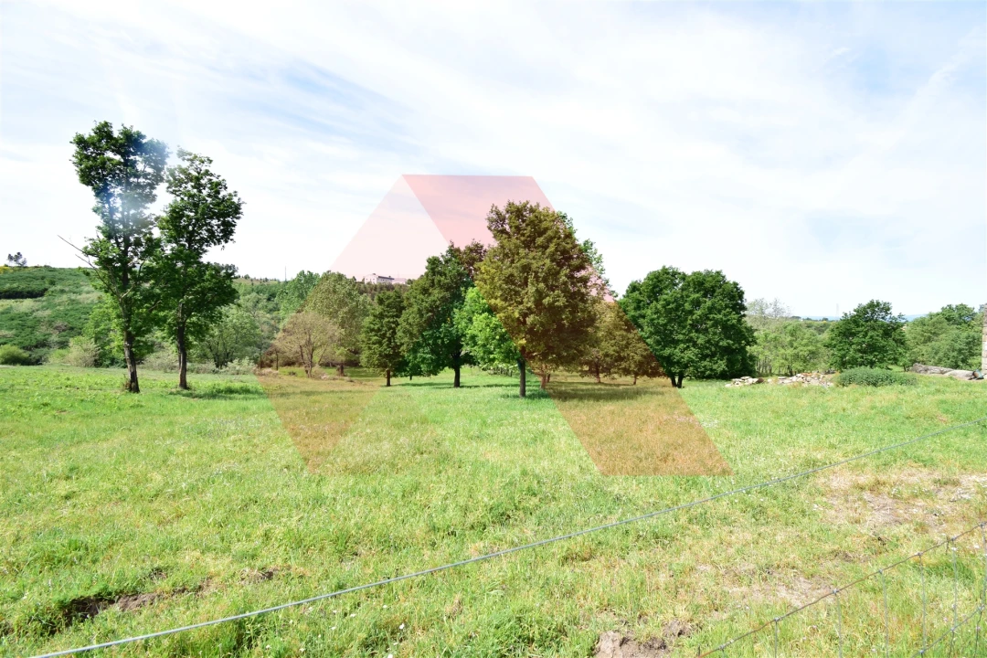 Quinta T0 para Venda em Lagos da Beira e Lajeosa Foto 7