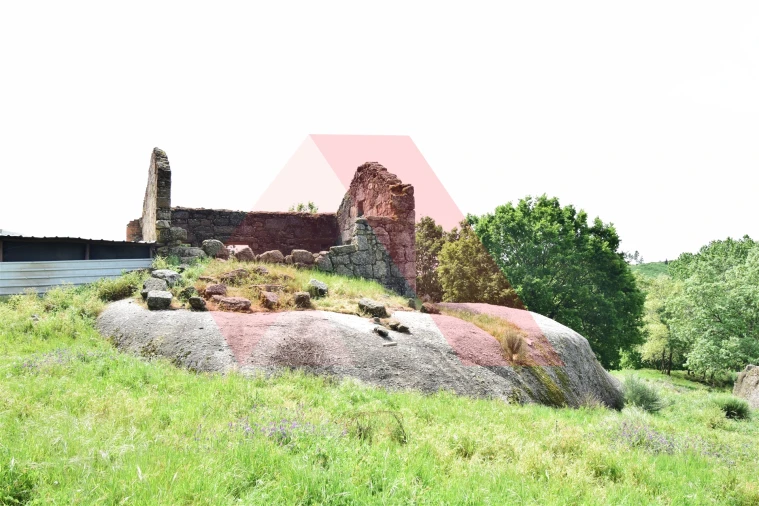 Quinta T0 para Venda em Lagos da Beira e Lajeosa Foto 13