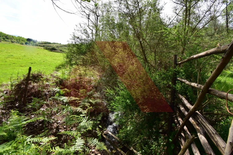 Quinta T0 para Venda em Lagos da Beira e Lajeosa Foto 5