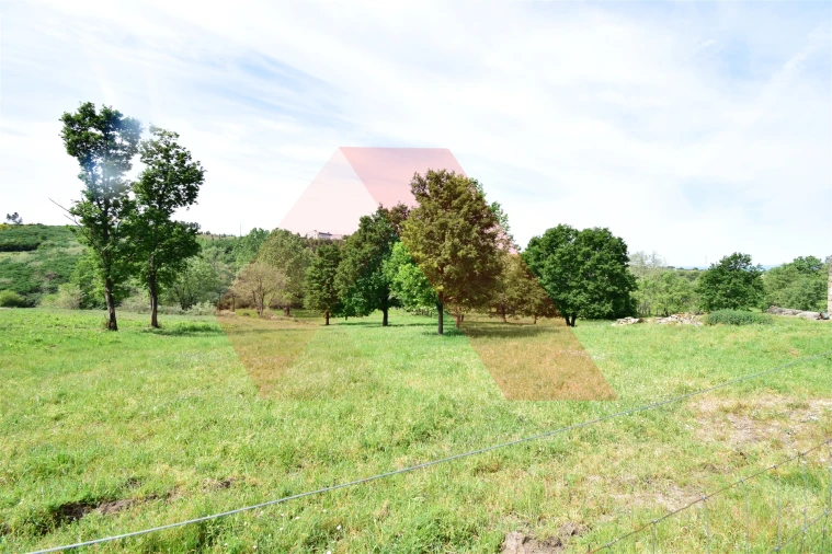 Quinta T0 para Venda em Lagos da Beira e Lajeosa Foto 7