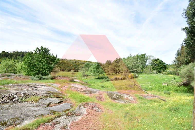 Quinta T0 para Venda em Lagos da Beira e Lajeosa Foto 9