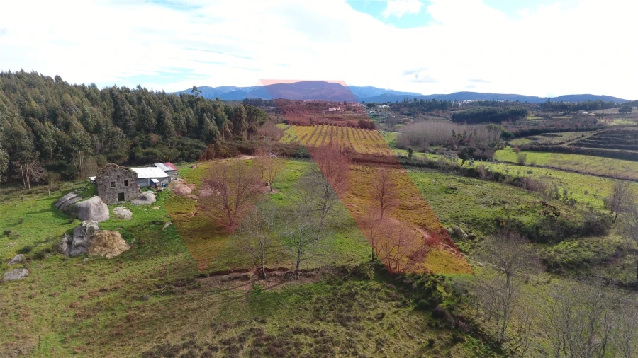 Quinta T0 para Venda em Lagos da Beira e Lajeosa Foto 17