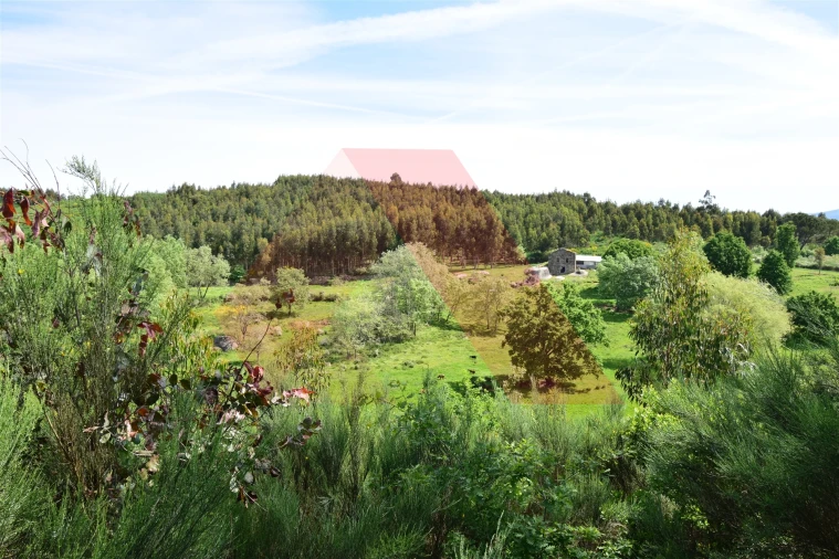 Quinta T0 para Venda em Lagos da Beira e Lajeosa