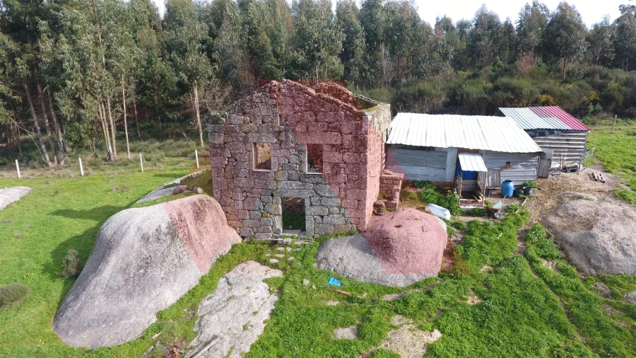 Quinta T0 para Venda em Lagos da Beira e Lajeosa Foto 2