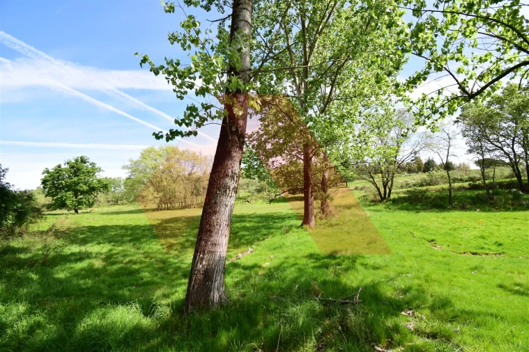 Quinta T0 para Venda em Lagos da Beira e Lajeosa Foto 4