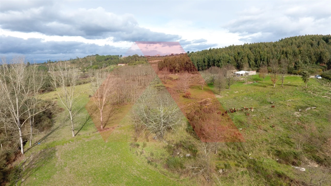 Quinta T0 para Venda em Lagos da Beira e Lajeosa Foto 15
