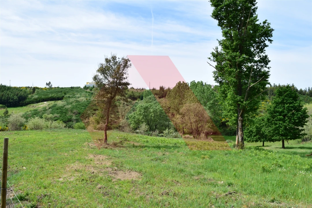 Quinta T0 para Venda em Lagos da Beira e Lajeosa Foto 12
