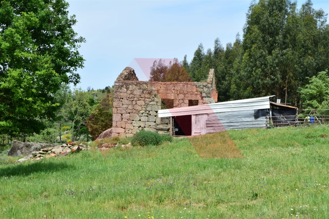 Quinta T0 para Venda em Lagos da Beira e Lajeosa Foto 3