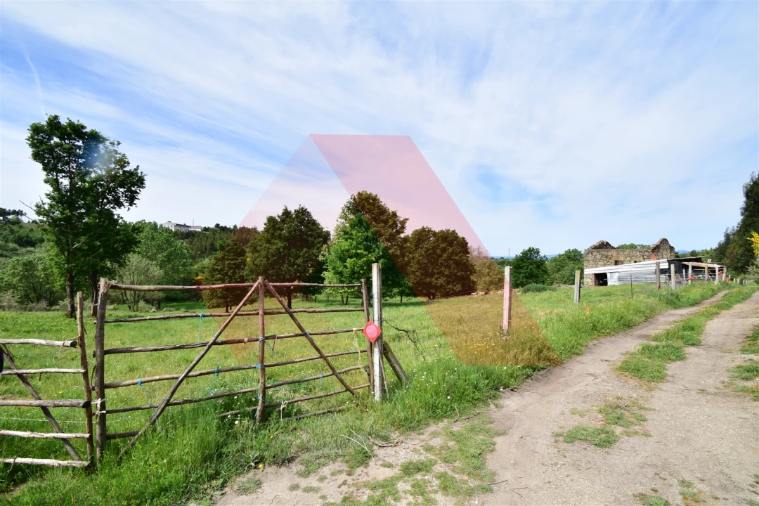 Quinta T0 para Venda em Lagos da Beira e Lajeosa Foto 14