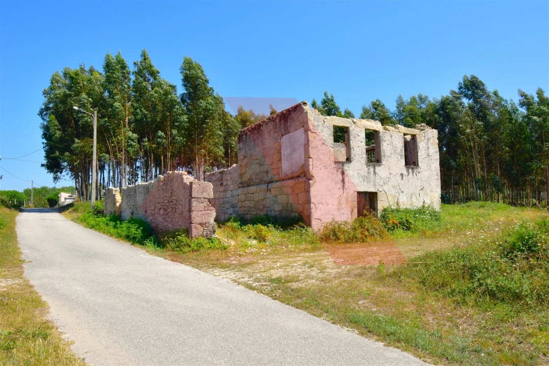 Quinta T0 para Venda em Midões Foto 1