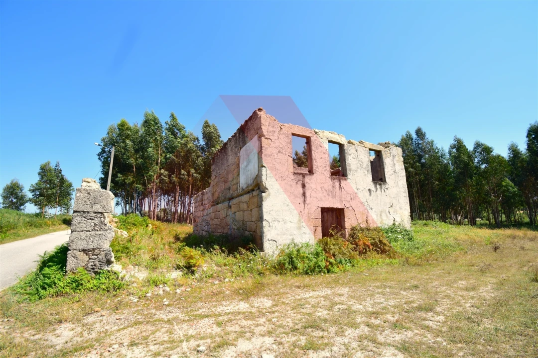 Quinta T0 para Venda em Midões Foto 3