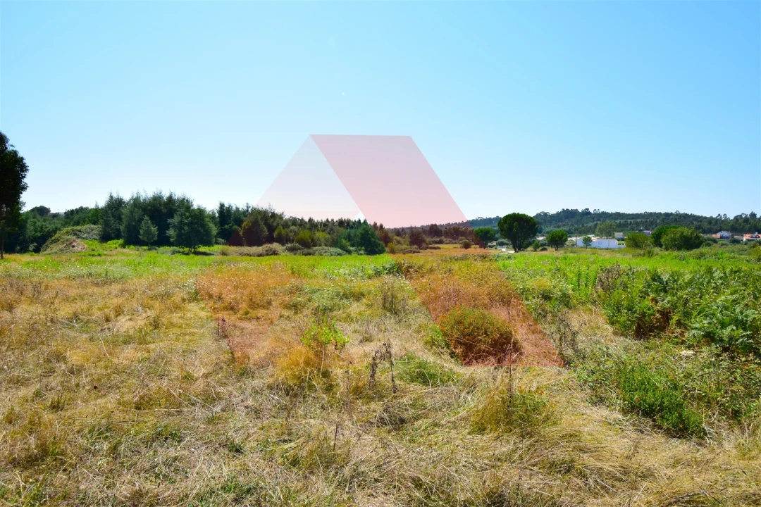 Quinta T0 para Venda em Midões Foto 8