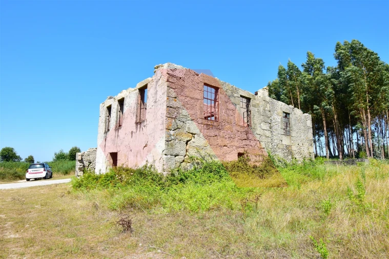 Quinta T0 para Venda em Midões Foto 2