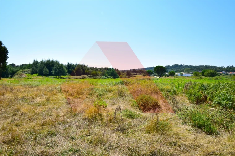 Quinta T0 para Venda em Midões Foto 8