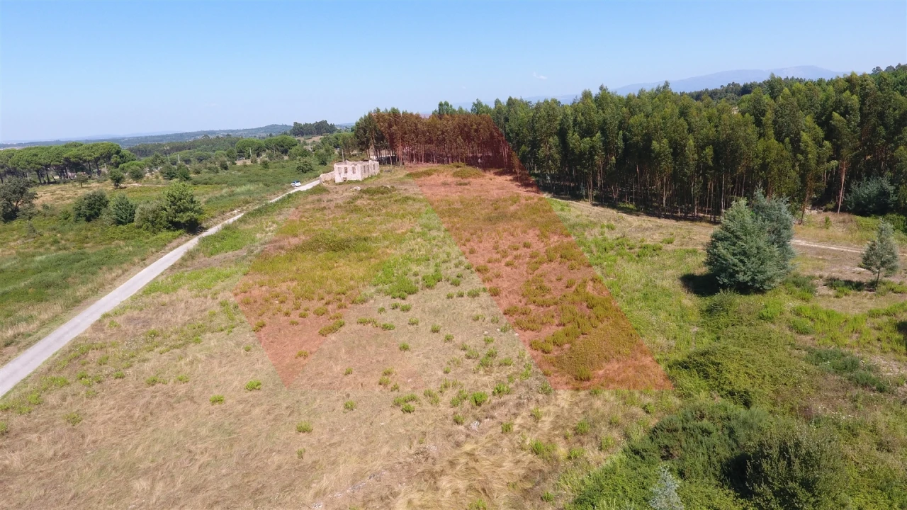 Quinta T0 para Venda em Midões Foto 9