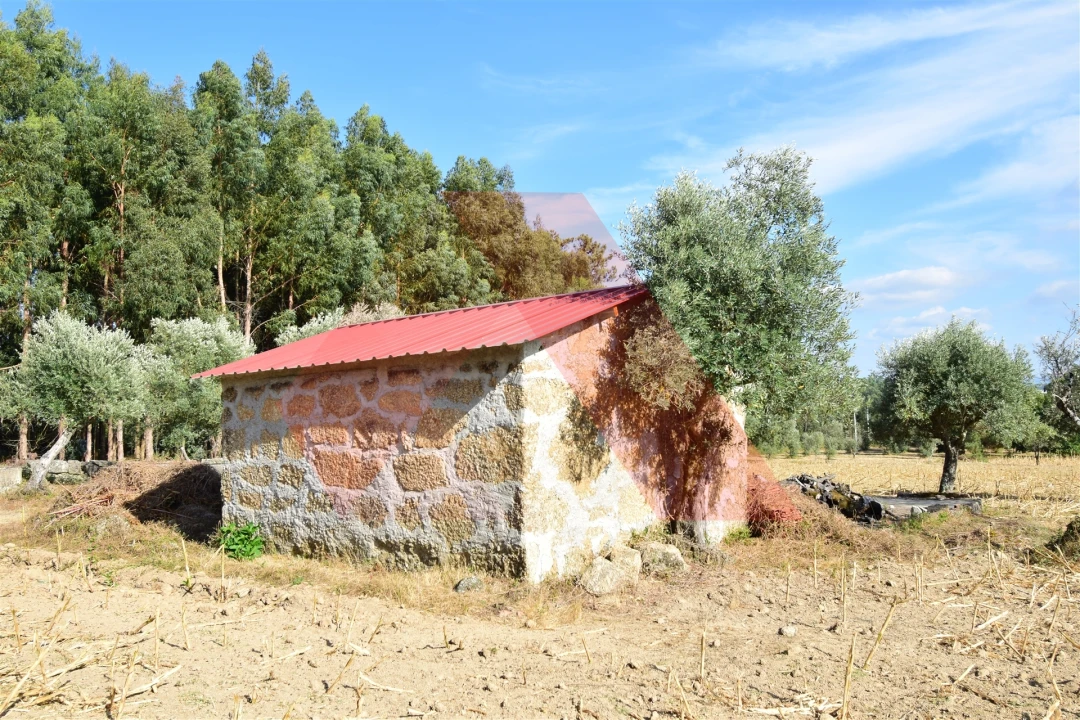 Terreno Agricola ou Rústico para Venda em Ázere e Covelo Foto 2